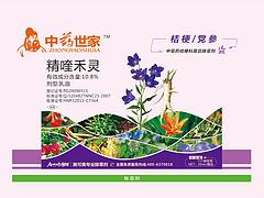 供應上海新品菊花