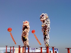 品牌好的舞獅表演費用情況|重慶專業舞獅