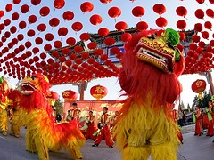 比麟堂醒獅團——可靠的舞獅表演公司，四川專業舞獅價格