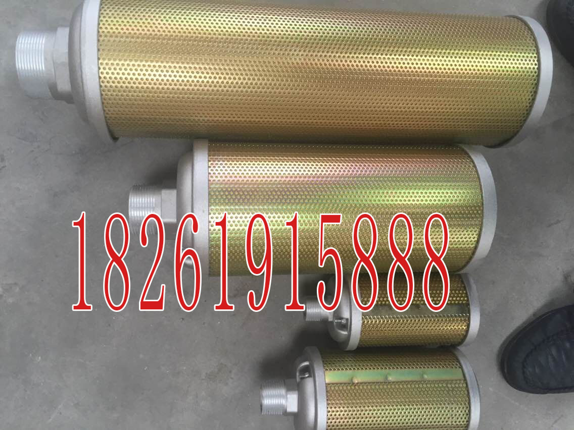 專業(yè)優(yōu)惠制氮機消聲器消音器，吹氣瓶消音器，干燥機用消音器供應(yīng)