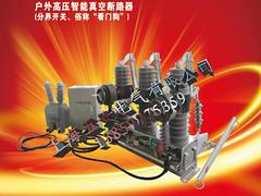 戶外高壓真空分界斷路器ZW20-12F/630A-12F——優(yōu)質(zhì)的ZW20-12F戶外高壓真空分界斷路器上海哪里有