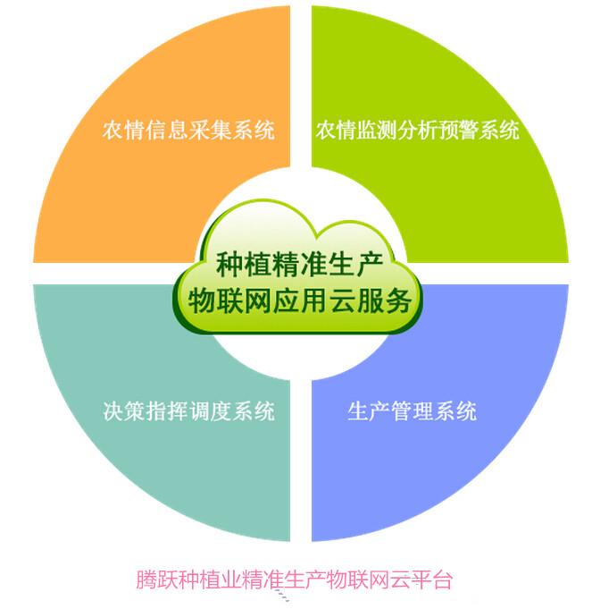 提升品牌形象使用騰躍追溯云平臺