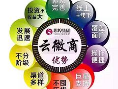 思埠云微商批發(fā)|廈門哪家思埠供應(yīng)商好