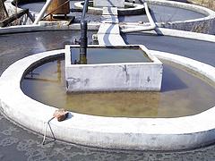 福建劃算的污水處理設備：污泥處理設備廠家