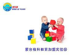 湛江日托幼兒園找哪家，周到的嬰幼兒教育就在湛江