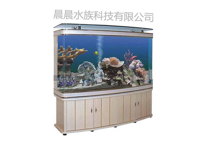 家用水族箱加盟