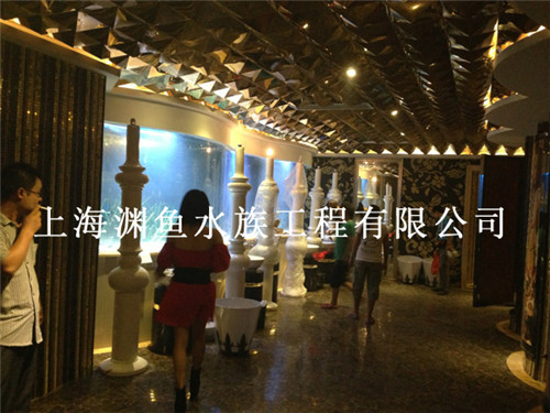 親親魚(yú)缸全國(guó)加盟/魚(yú)療魚(yú)缸廠家直銷(xiāo)
