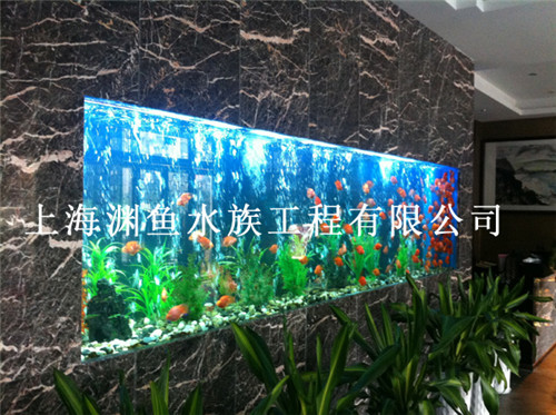 足療缸/移動(dòng)版親親魚療魚療店加盟供應(yīng)商