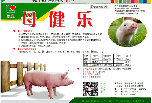 豬催肥豬增肥豬肥壯原始圖片2
