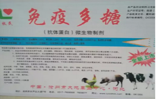 豬催肥豬增肥豬肥壯原始圖片3