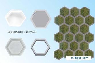 六角草坪磚塑料模具加工原始圖片3