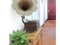 音樂考前沖刺價格，福州知名的高考音樂班資訊