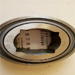 青海西寧非標軸承206GGH