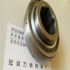 福建福州非標(biāo)軸承GW211PP25