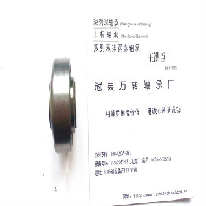 安徽合肥非標軸承W208PPB10