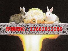 珍珠巖防火門芯板供應(yīng)|新品珍珠巖防火門芯板市場(chǎng)價(jià)格
