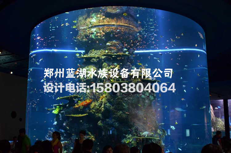 鄭州定做亞克力魚缸大型水族工程