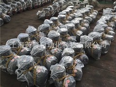 防爆電機上哪買比較好 華源防爆電機