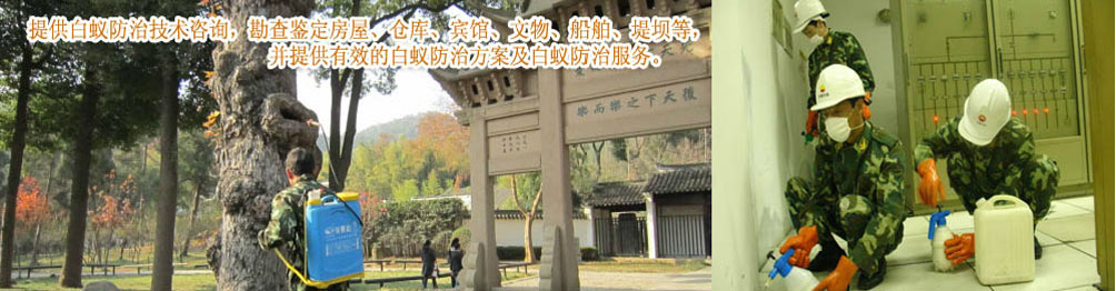 中山清理化糞池清洗公司，中山疏通管道價格