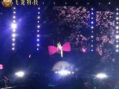 口碑好的中國好聲音威亞特技|哪里有滿意的影視娛樂節目活動威亞特技公司