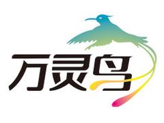 網(wǎng)站推廣優(yōu)化怎么做，網(wǎng)站SEO優(yōu)化品牌