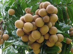福建服務(wù)好的網(wǎng)站推廣優(yōu)化公司|網(wǎng)站SEO優(yōu)化哪家好