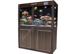 廣東1.5米魚缸 買合格的1.5米魚缸，就到亮彩水族