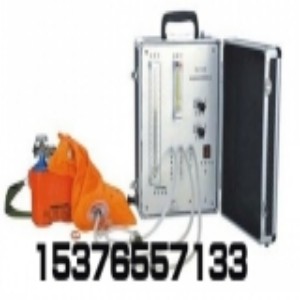 熱銷供應GJX-2甲烷測定器校驗儀