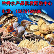 無極海參專賣-蘭秀水產品