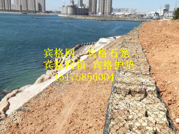 鋅鋁合金PVC覆塑固濱籠 固濱籠廠家報價 河道排澇蓄水固濱籠原始圖片3