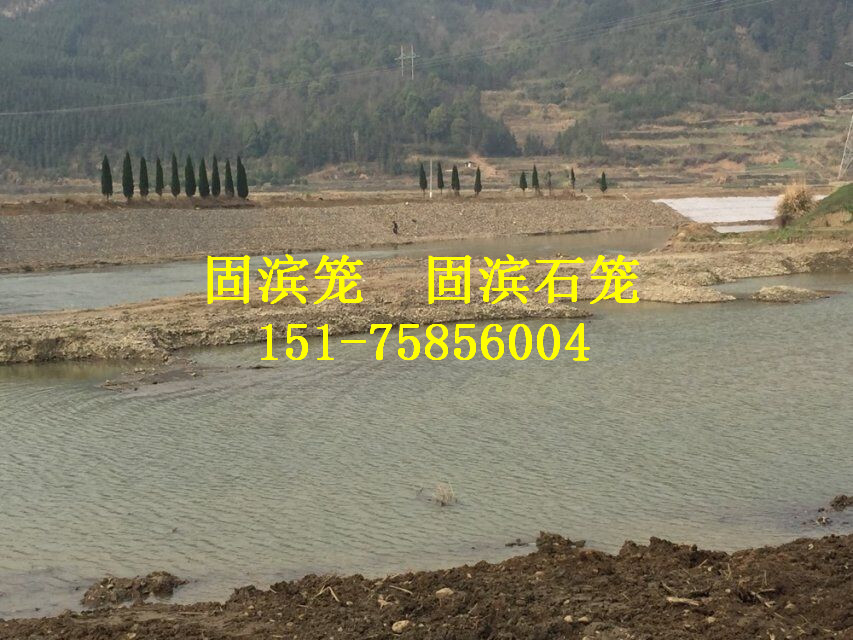 河流生態(tài)防護(hù)固濱籠 PVC覆塑固濱籠價(jià)格 海南固濱籠報(bào)價(jià)