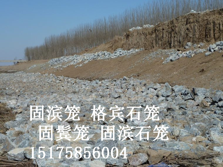海南河道生態整治固濱籠 PVC覆塑固濱籠價格 固濱籠廠家直銷