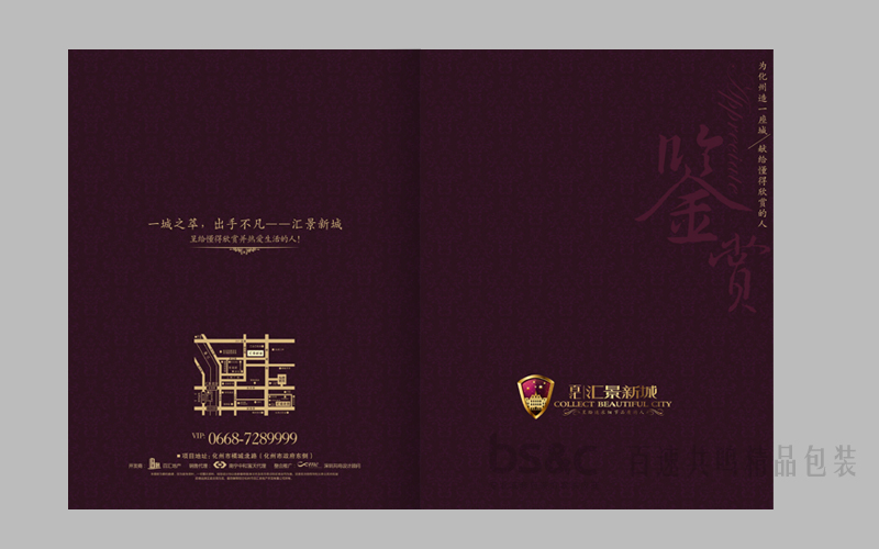 深圳包裝設(shè)計廠家/百速共鳴