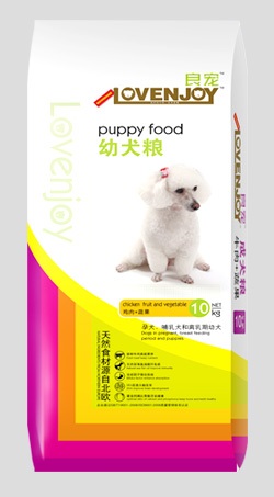 哪里買狗糧好|史賓格吃什么狗糧好
