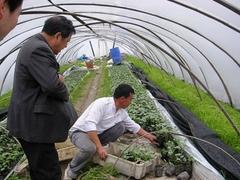 農用薄膜用途|冠辰塑料廠供應專業灌漿膜