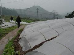 日照地膜 哪里有提供熱賣地膜