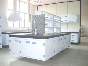 浙江通風(fēng)柜，實(shí)驗(yàn)臺(tái)，實(shí)驗(yàn)室家具，儀器