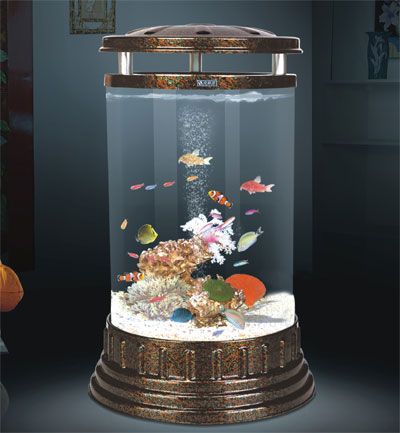 觀賞魚缸，利爾森水族供應(yīng)——低價實(shí)木魚缸