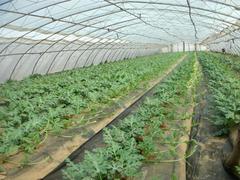 魯光塑料制品供應優質的灌漿膜——河南灌漿膜廠家