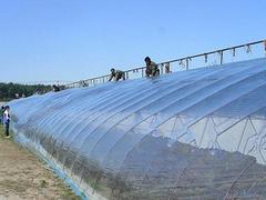 花卉專用膜價格 為您提供供不應求的地膜資訊