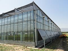 找pc板溫室大棚建設就來萬紅溫室園藝工程公司：專業設計pc板溫室大棚