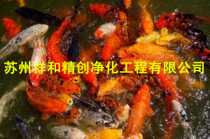 中國{zx1} 魚池過濾改造方案