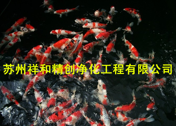 蘇州市戶外魚池水凈化水處理公司，專業(yè)處理景觀水池過濾凈化工