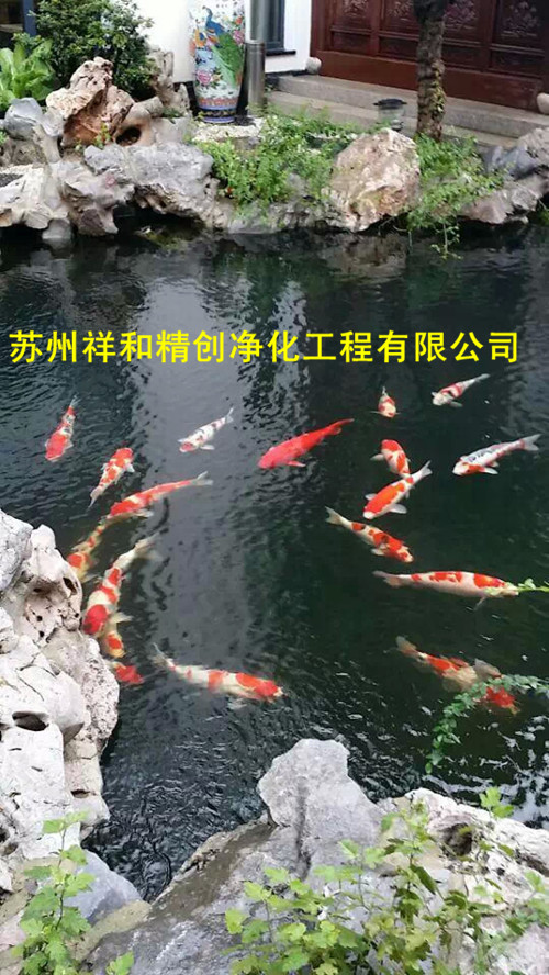 海鹽魚池水處理 蘇州熱門魚池水處理公司，當屬祥和精創凈化工程