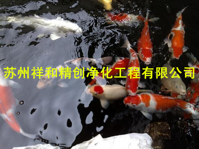 常熟環(huán)保水凈化|蘇州有口碑的魚池水處理