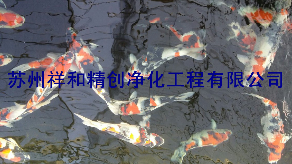 蘇州質(zhì)量硬的魚(yú)池水處理過(guò)濾凈化公司，當(dāng)屬祥和精創(chuàng)凈化工程，魚(yú)池水處理過(guò)濾凈化可信賴(lài)