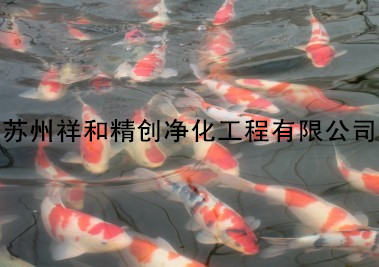 石家莊市景觀魚池凈化，選《祥和精創(chuàng)》