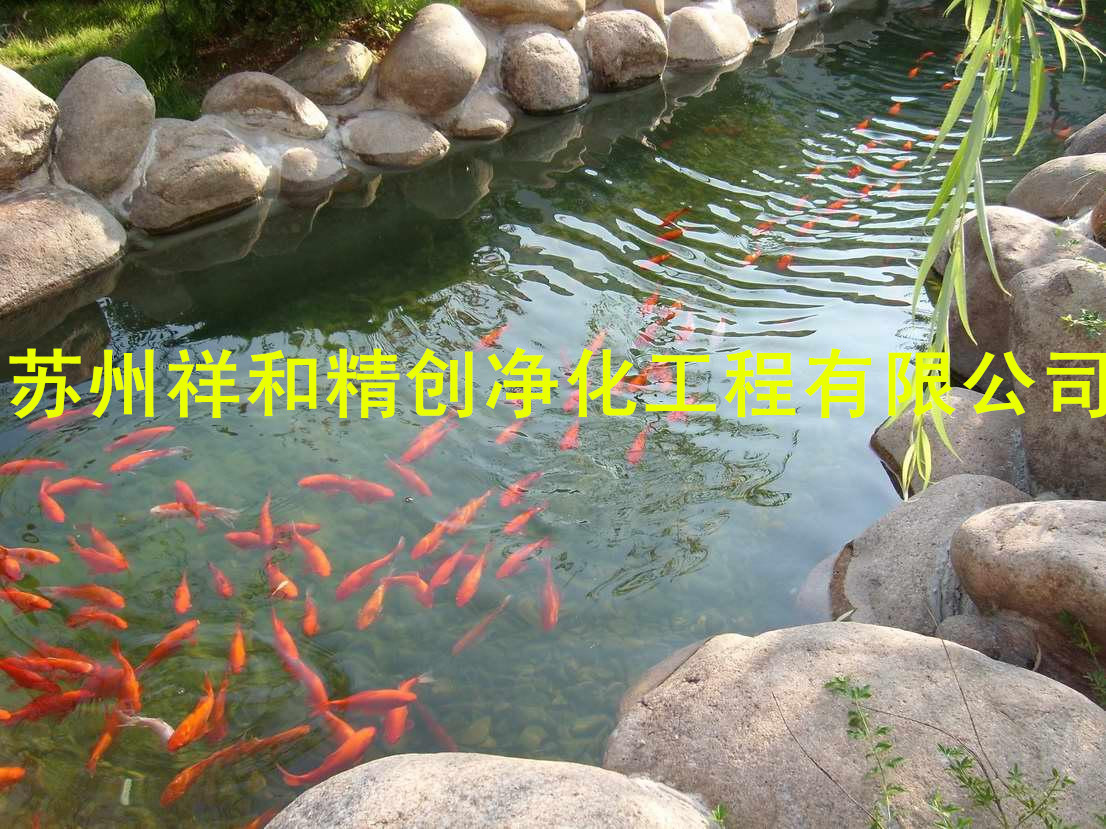 無(wú)錫市景觀水處理，專(zhuān)為別墅單位魚(yú)池凈化水。