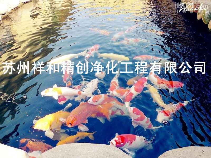 南京市魚池凈化，魚池水質有問題不用愁，找祥和精創公司。