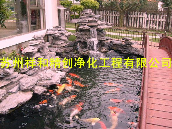 祥和精創凈化工程供應{yl}的魚池水處理水凈化  _魚池青苔綠藻假山噴泉別墅庭院魚池